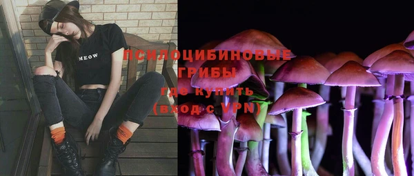 индика Белокуриха