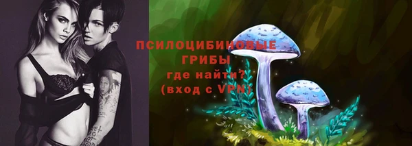 индика Белокуриха