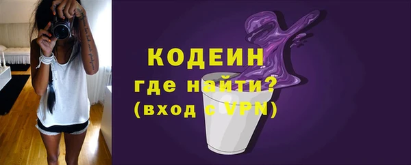 индика Белокуриха