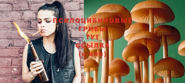 apvp Белоозёрский