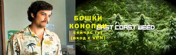 индика Белокуриха