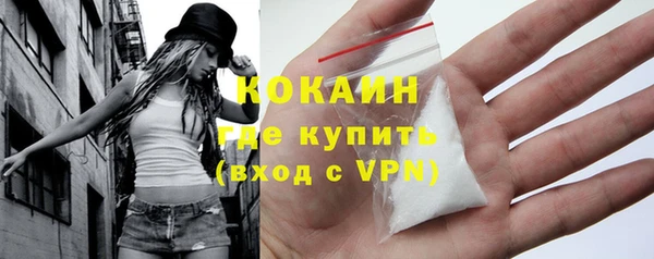 индика Белокуриха